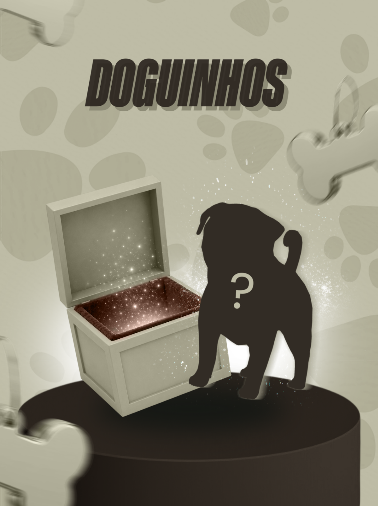 Box Cachorros