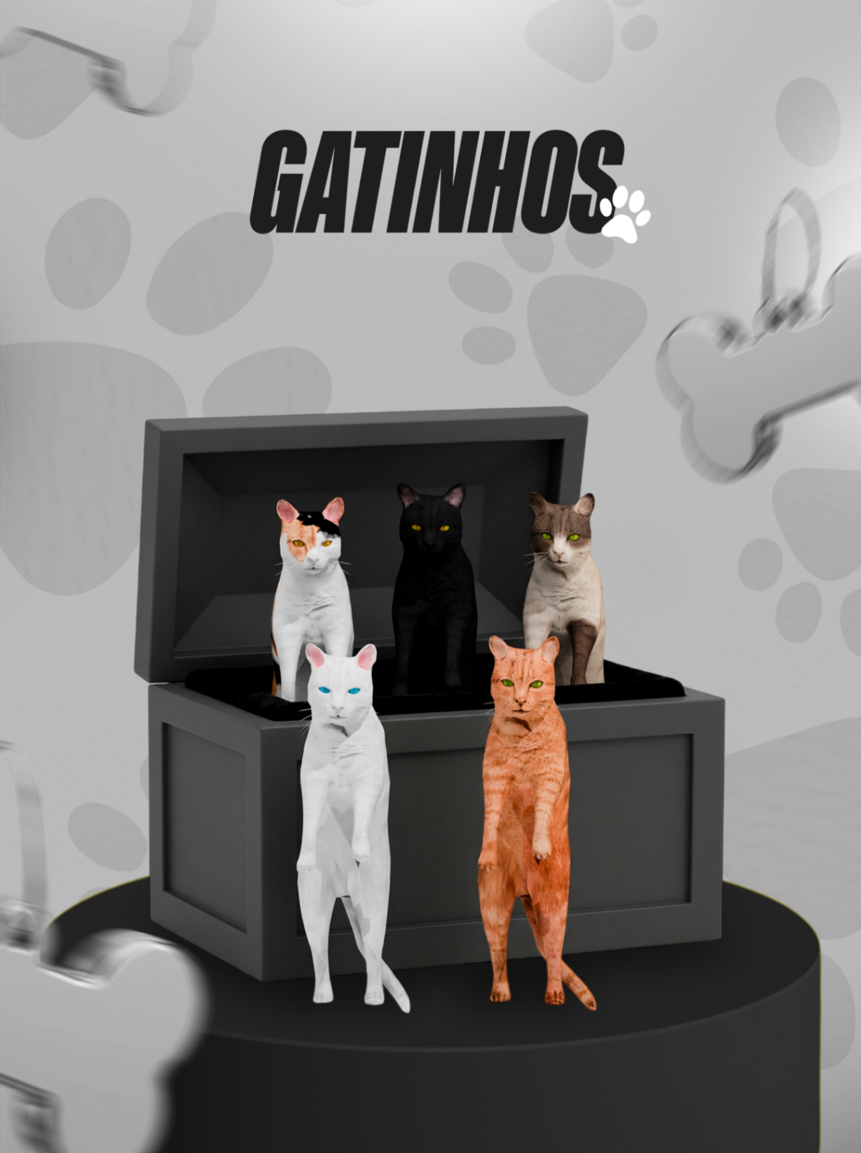 Bundle Gatos