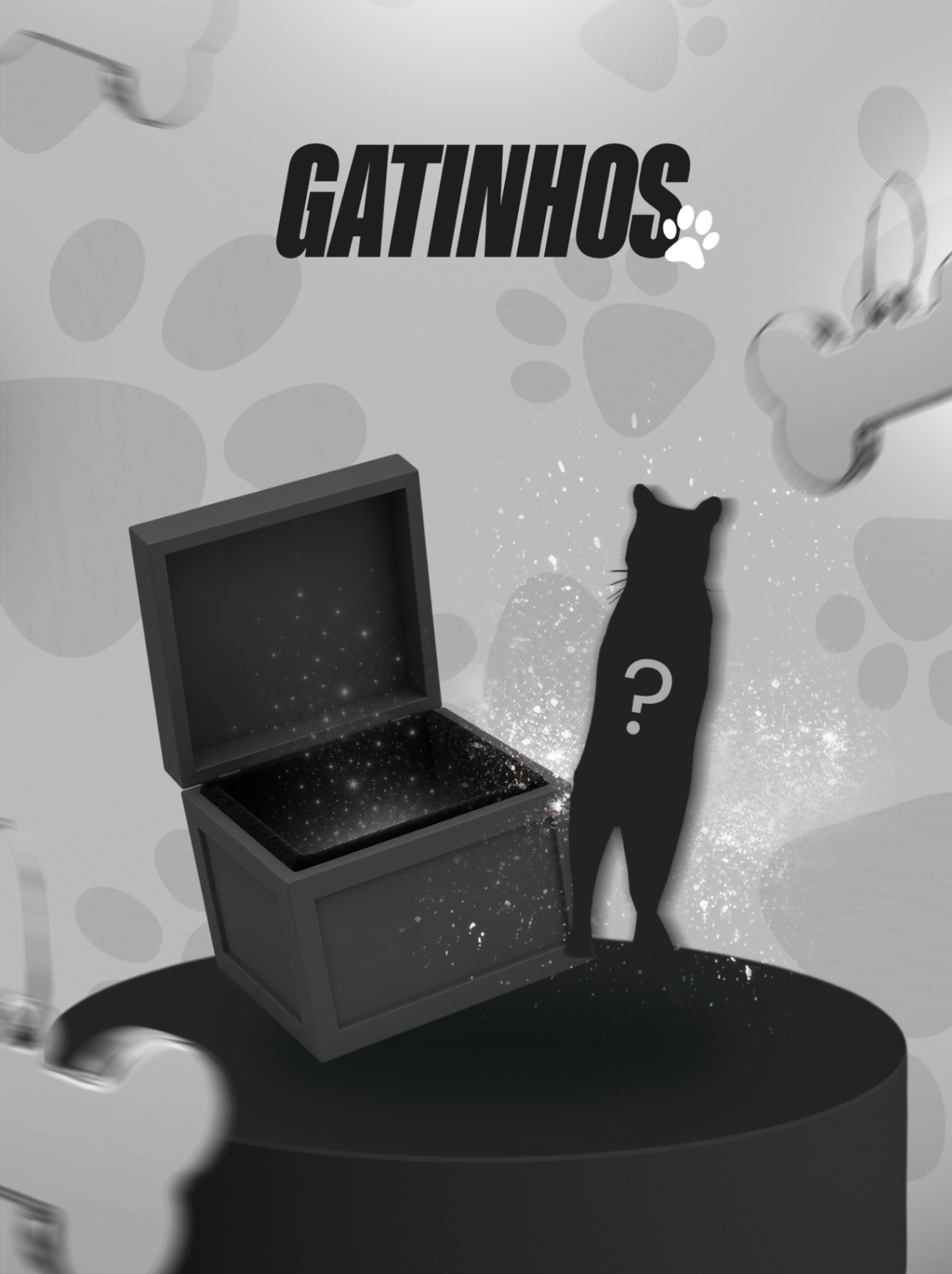 Box Gatos