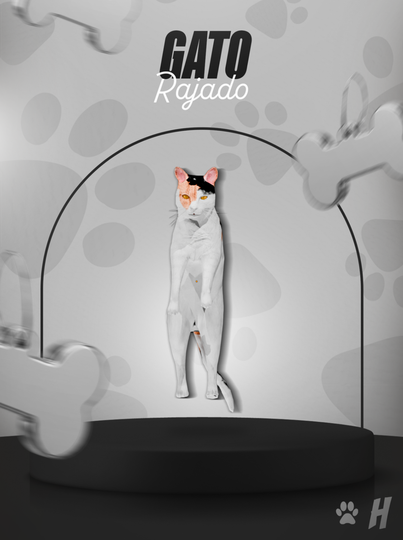 Gato Rajado (Animada)